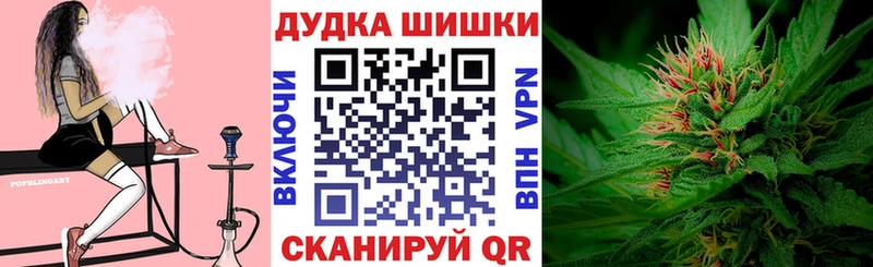 Меф Новокубанск