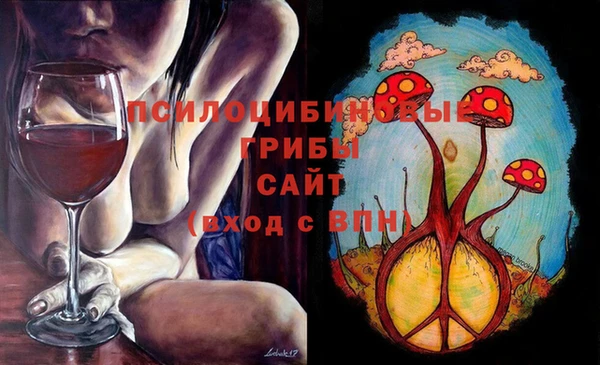 круглые Алексеевка