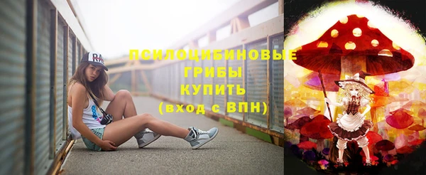ECSTASY Алексин