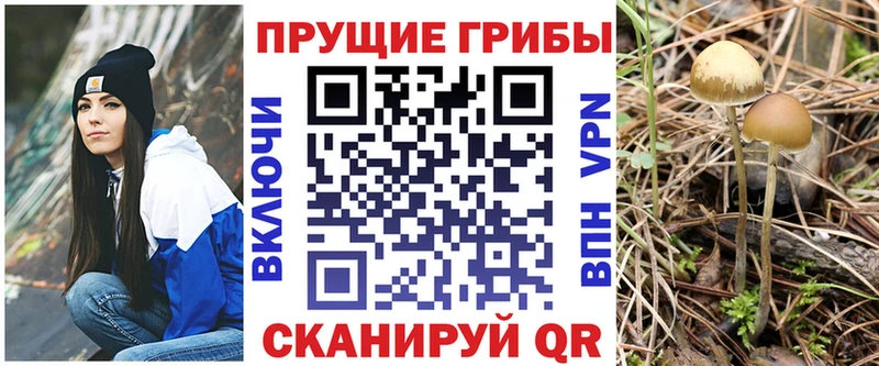 Псилоцибиновые грибы ЛСД  Новокубанск 