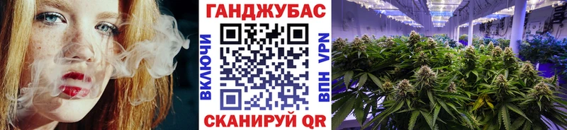 Конопля индика  наркота  Новокубанск 